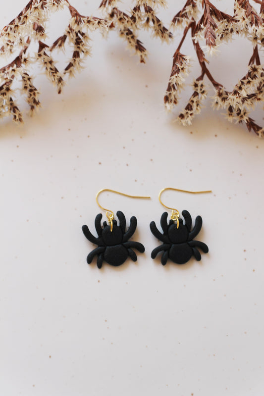 Spiders