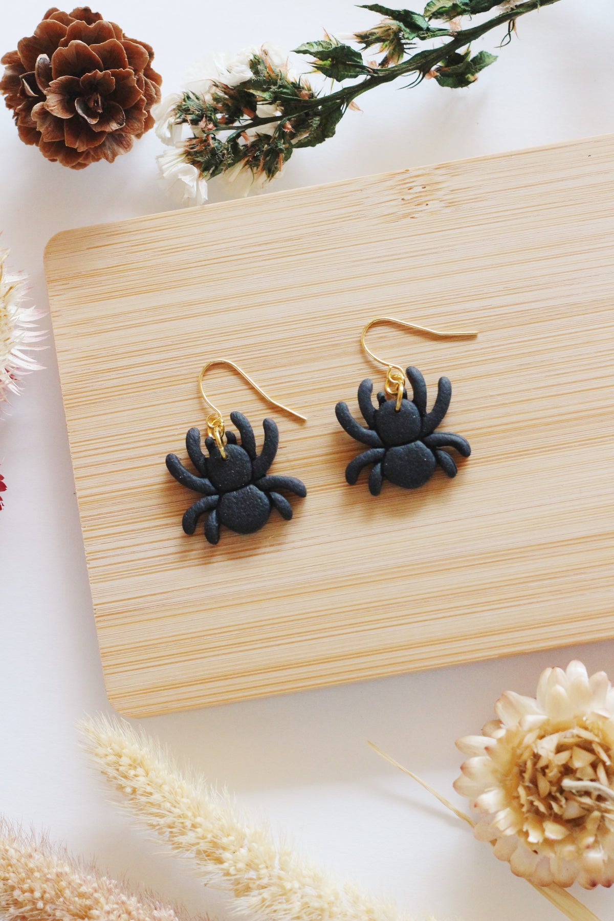 Spiders