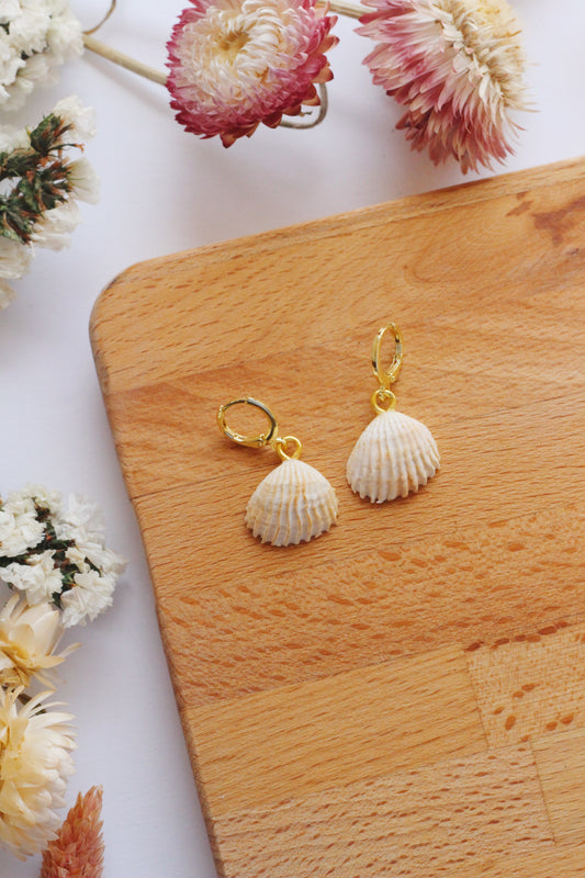 Shell-shaped earrings on a wooden board with flowers around